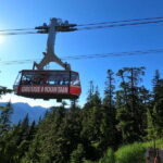 Vancouver: Capilano Bridge, Cleveland Dam & Lynn Canyon Tour - Practical Details & Tips