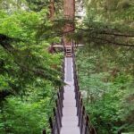 Vancouver City Tour: Capilano Bridge and Stanley Park - The Value of the Tour