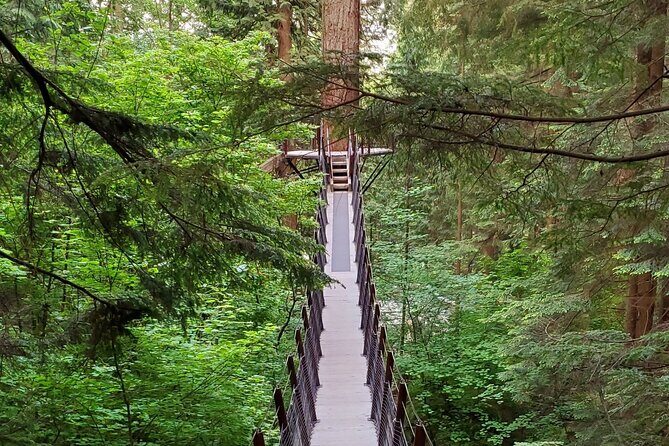 Vancouver City Tour: Capilano Bridge and Stanley Park - The Value of the Tour