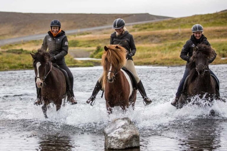 Varmahlid: 1-Hour Icelandic Horse Riding Tour - Final Thoughts