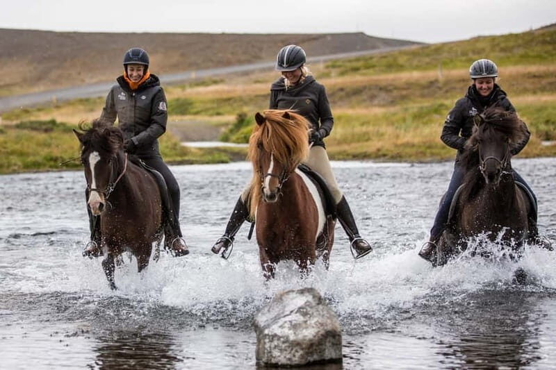 Varmahlid: 1-Hour Icelandic Horse Riding Tour - Final Thoughts