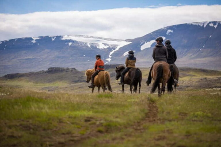 Varmahlid: Viking Horse Riding Tour - The Itinerary in Detail