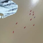 Vatnajökull National Park: Glacier Kayaking Tour - Pricing and Overall Value