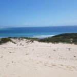 Vejer and Bologna Beach Rate Excursion from Cadiz - Practicalities and Value