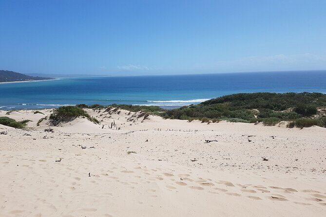 Vejer and Bologna Beach Rate Excursion from Cadiz - Practicalities and Value