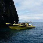 Vestmannaeyjar: One Hour Small Islands Trip - Why This Tour Stands Out