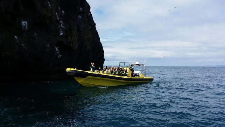 Vestmannaeyjar: One Hour Small Islands Trip - Why This Tour Stands Out
