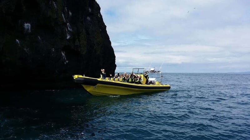 Vestmannaeyjar: One Hour Small Islands Trip - Why This Tour Stands Out