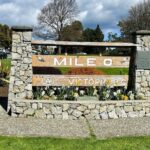 Victoria City Express Tour  2hr Private (Day or Night, 14pax) - Frequently Asked Questions