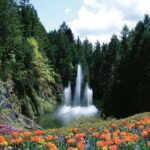 Victoria: City Highlights and Butchart Gardens Tour - The Value Factor