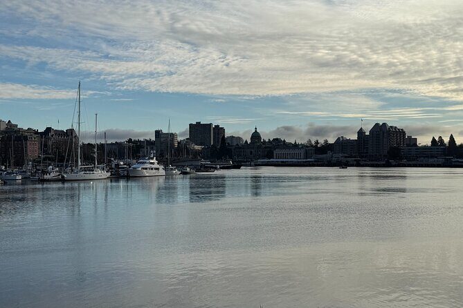 Victoria Vistas and Views Progressive Food Tour - Final Thoughts