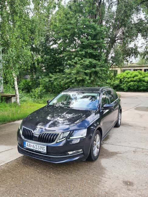 Vienna daytrip: Private transfer from Budapest and back - Sightseeing Stop in Vienna