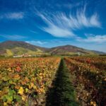 Vienna: eský Krumlov and Wachau Valley Tour - FAQ