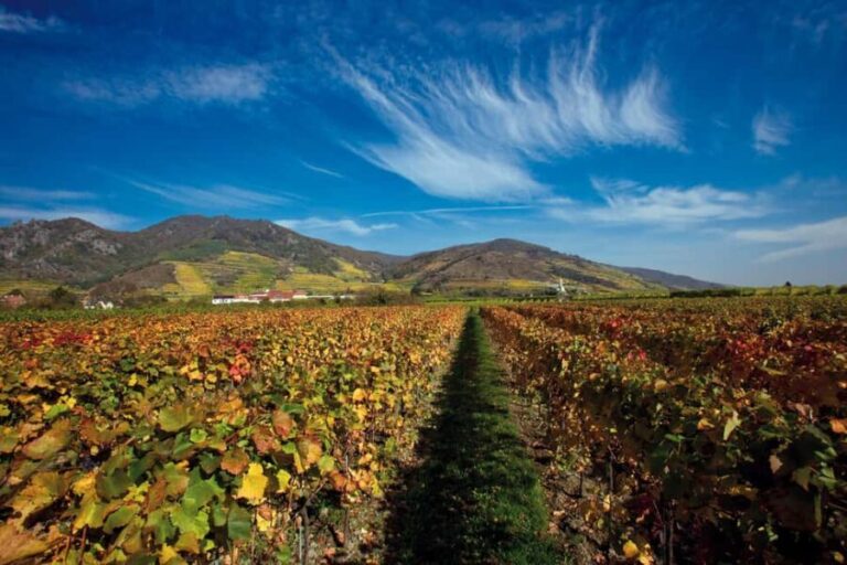 Vienna: eský Krumlov and Wachau Valley Tour - FAQ