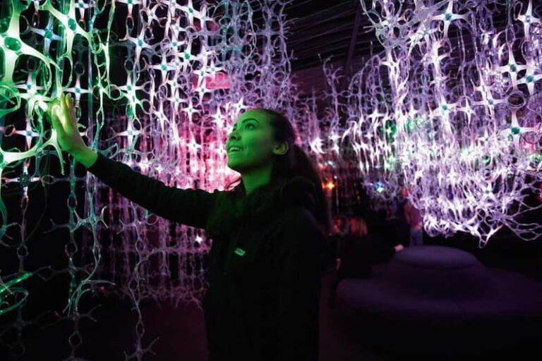 Vienna: Mythos Mozart Experience Ticket& Guided Walking Tour - The Multimedia Experience in Detail