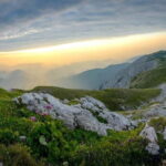 Vienna: Private Day Trip to Schneeberg & Lake Neusiedl - Detailed Breakdown of the Itinerary