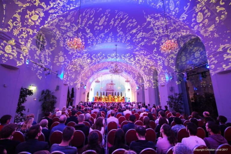 Vienna: Schönbrunn Palace Evening Tour, Dinner and Concert - Practical Tips for Visitors