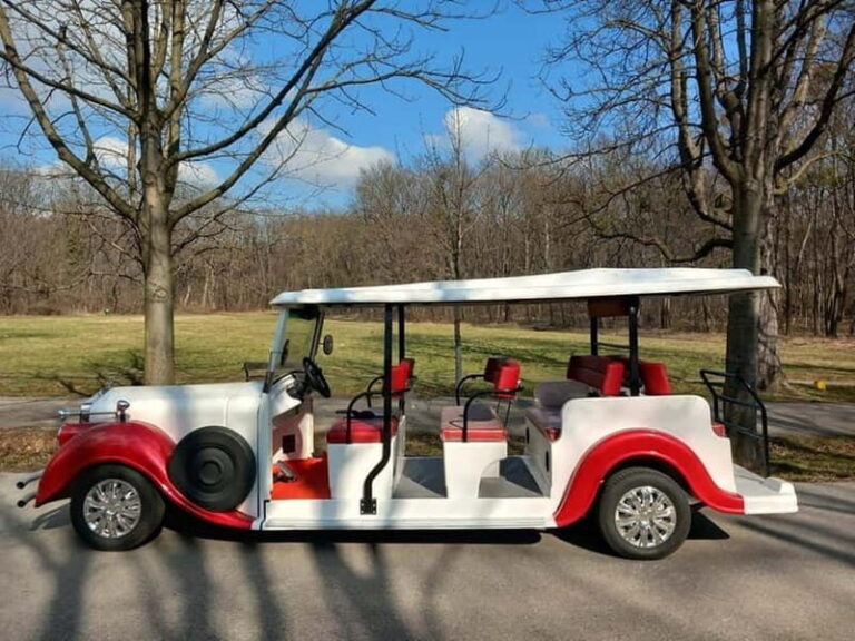 Vienna: Sightseeing Tour in a Classic Style Car 90 Min E/T - Practical Details and Value