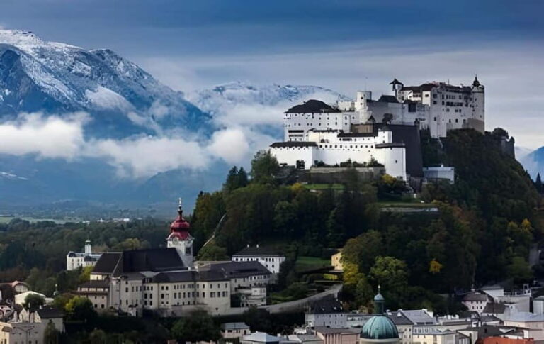 Vienna: Traunsee, Hallstatt, and Salzburg Day Tour - The Transportation & Guide Experience