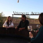 VINEYARD TOUR - The Itinerary: What to Expect During Your Day
