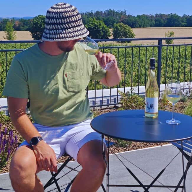 Vineyards & Castles : Czech Wine and Culture Tour - Detailed Breakdown of the Itinerary