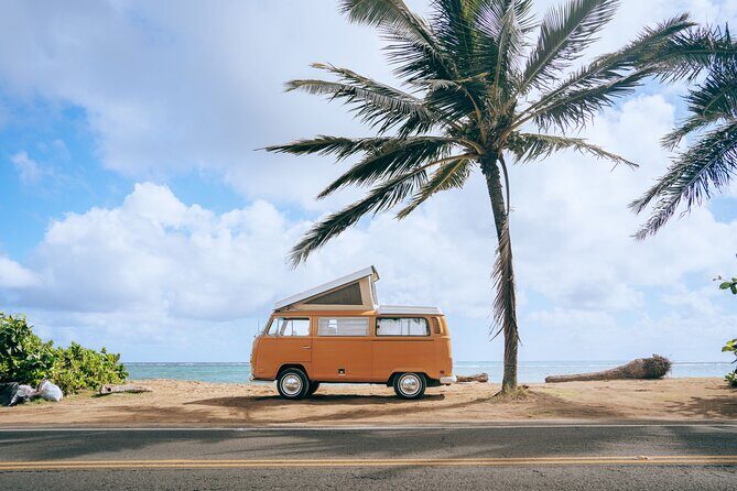 Vintage VW Turtle Tour on the North Shore - In-Depth Review of the Vintage VW Turtle Tour