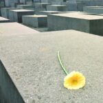 VIP Warnemünde-Berlin: Private Shore Excursion with a Van - Value and Cost Analysis