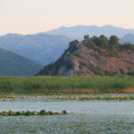 Virpazar: Amazon wilderness speed boat cruise - What Makes This Tour Special?