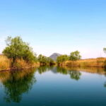 Virpazar: Guided Lake Skadar Cruise and Crnojevia River - Final Thoughts: Who Will Love This Tour?