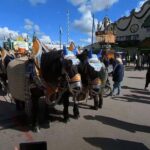 Virtual Tour 360 Video Octoberfest Munich with Wolfgang - Good To Know