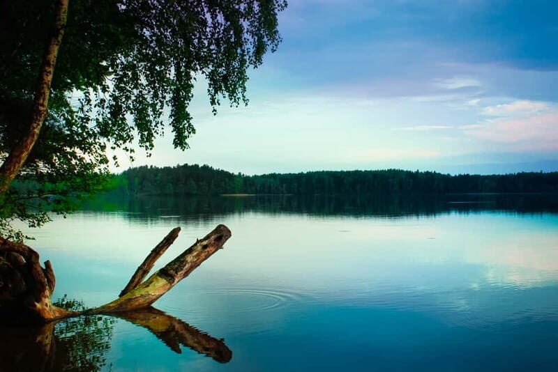 Visaginas: Wild Nature Hiking at Grauts Regional Park - The Practicalities: Costs, Group Size, and What to Bring