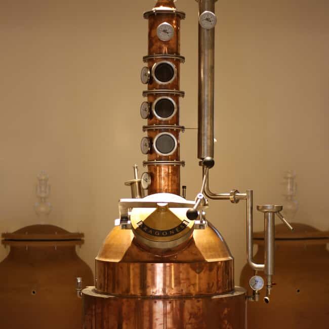 Visit the distillery of Ischia island - The Value and Practicalities