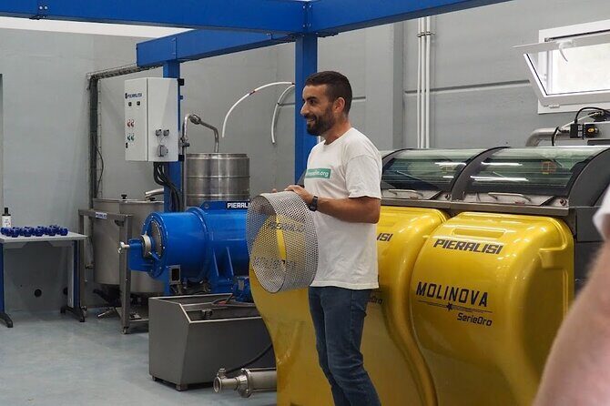 Visit to olive grove and olive mill with oil tasting and tasting - Practical Details and Booking