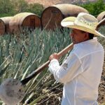 Visit to Tequila and Horseback Riding Among the Agave Landscape - What’s Included and What’s Not