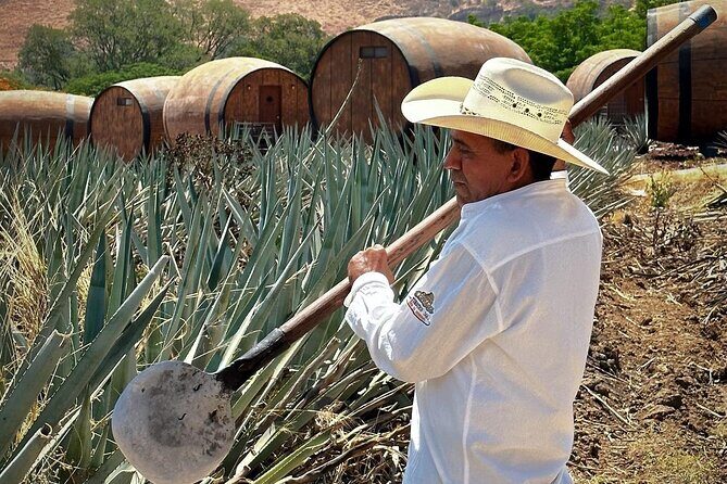 Visit to Tequila and Horseback Riding Among the Agave Landscape - What’s Included and What’s Not