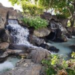 Waikiki Walking Tour, Treats, Free Video and Pics! - Practical Information and Tips