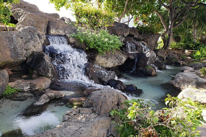 Waikiki Walking Tour, Treats, Free Video and Pics! - Practical Information and Tips