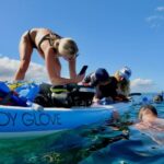 Wailea Beach: Snorkeling for Non-Swimmers Guided Tour - Why Choose This Tour?