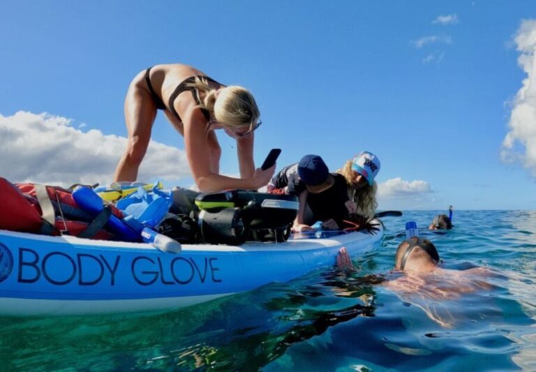 Wailea Beach: Snorkeling for Non-Swimmers Guided Tour - Why Choose This Tour?