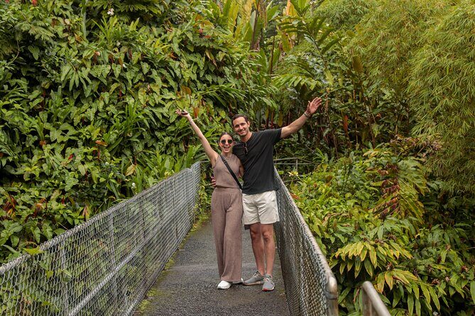 Waipio Valley, Hilo Waterfalls, Volcano and Black Sand Beach - Who Would Love This Tour?