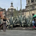 Walk through the Historic Center of the CDMX - Practical Considerations and Value