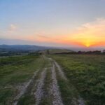 Wareham: Purbeck Countryside Sights E-Bike Tour - The Bikes and Support