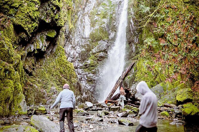 Waterfall, Skywalk, Lagoon Picnic, Castle and Whales in Victoria - Authentic Traveler Insights