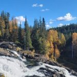 Waterton National Park Premium Day Tour - Exploring the Itinerary: What to Expect