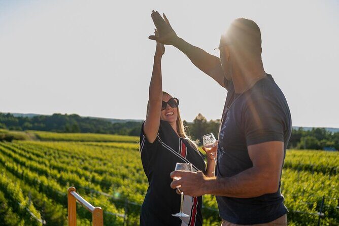 Wedding Anniversary Traverse City Old Mission Peninsula Wine Tour - Who Would Love This Experience?