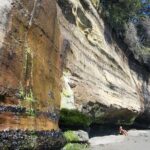 West Coast Wildlife Rainforest Waterfall and Beaches - Final Thoughts: Who Will Love This Tour?