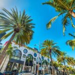 West LA Holiday Donut Adventure by Underground Donut Tour - What’s Included & What’s Not