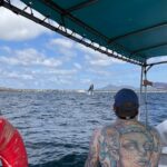 Whale watching - Who Is This Tour Best For?
