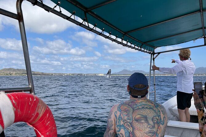 Whale watching - Who Is This Tour Best For?