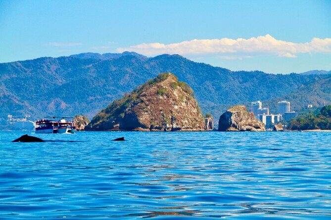 Whale Watching and Los Arcos 5 Islands Adventure - Who This Tour Is Best For